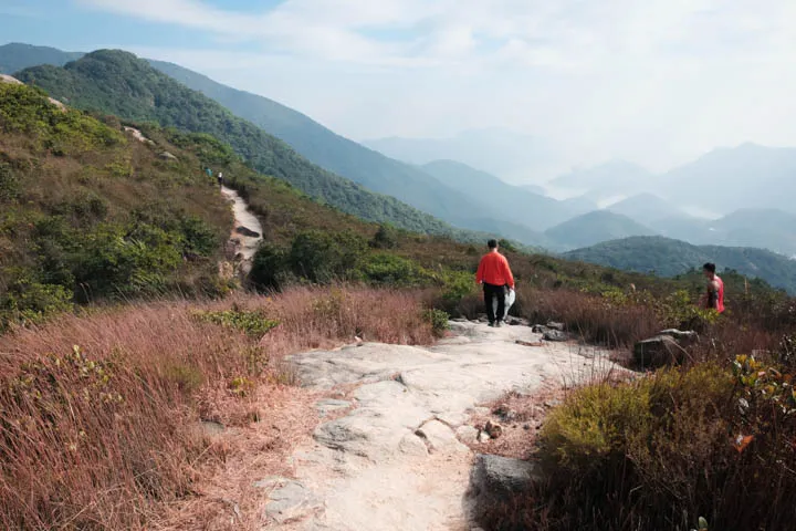 Jardine’s Lookout and Mount Butler Hike